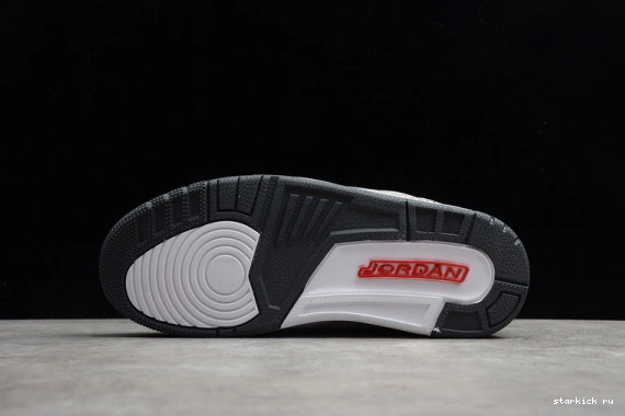 Jordan CT8532-012 (2021) Cool Grey Retro CT8532-012 3 AIR 0106